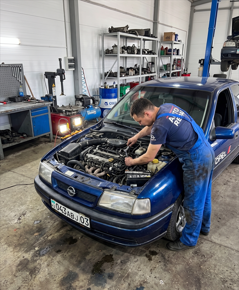 Professional mechanic holds a smartphone showing a spectral analysis screen near a car engine block for engine sound diagnostics using AI technology