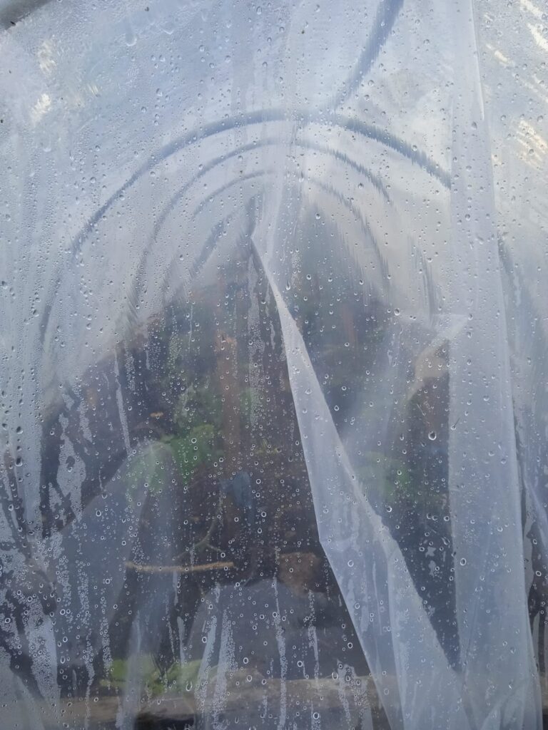 DIY PVC Greenhouse Using AI